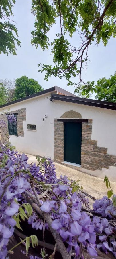 Agriturismo Terranova Pisticci Dış mekan fotoğraf