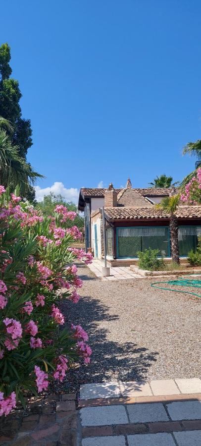 Agriturismo Terranova Pisticci Dış mekan fotoğraf